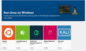 Instalar Linux en Windows por medio de WSL2 (Windows Subsystem for Linux).